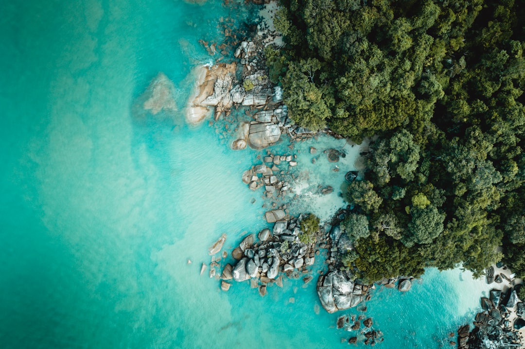 rocks at beach