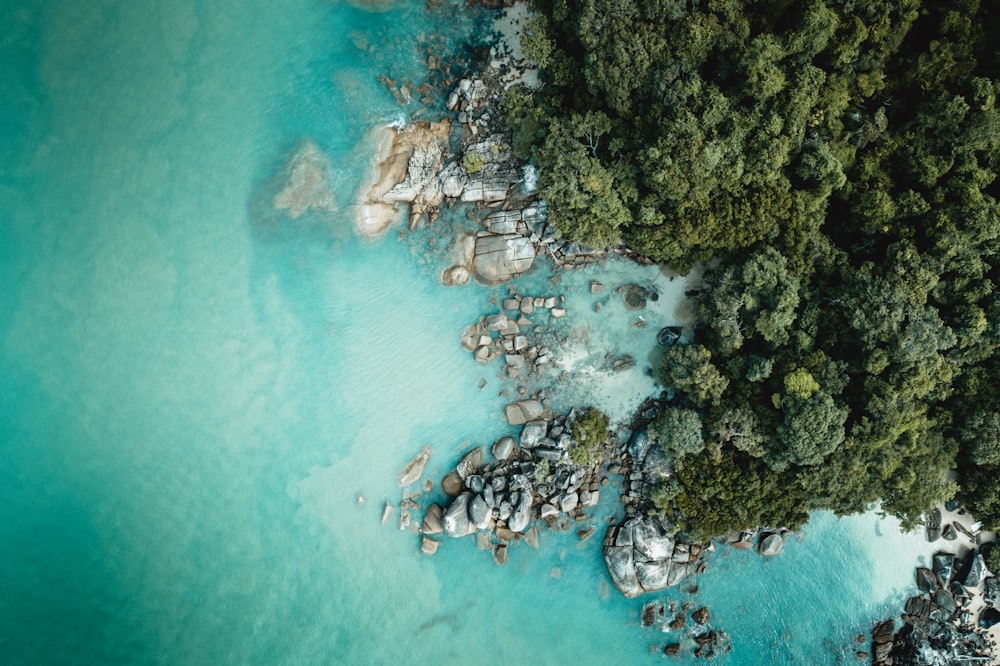 rocks at beach