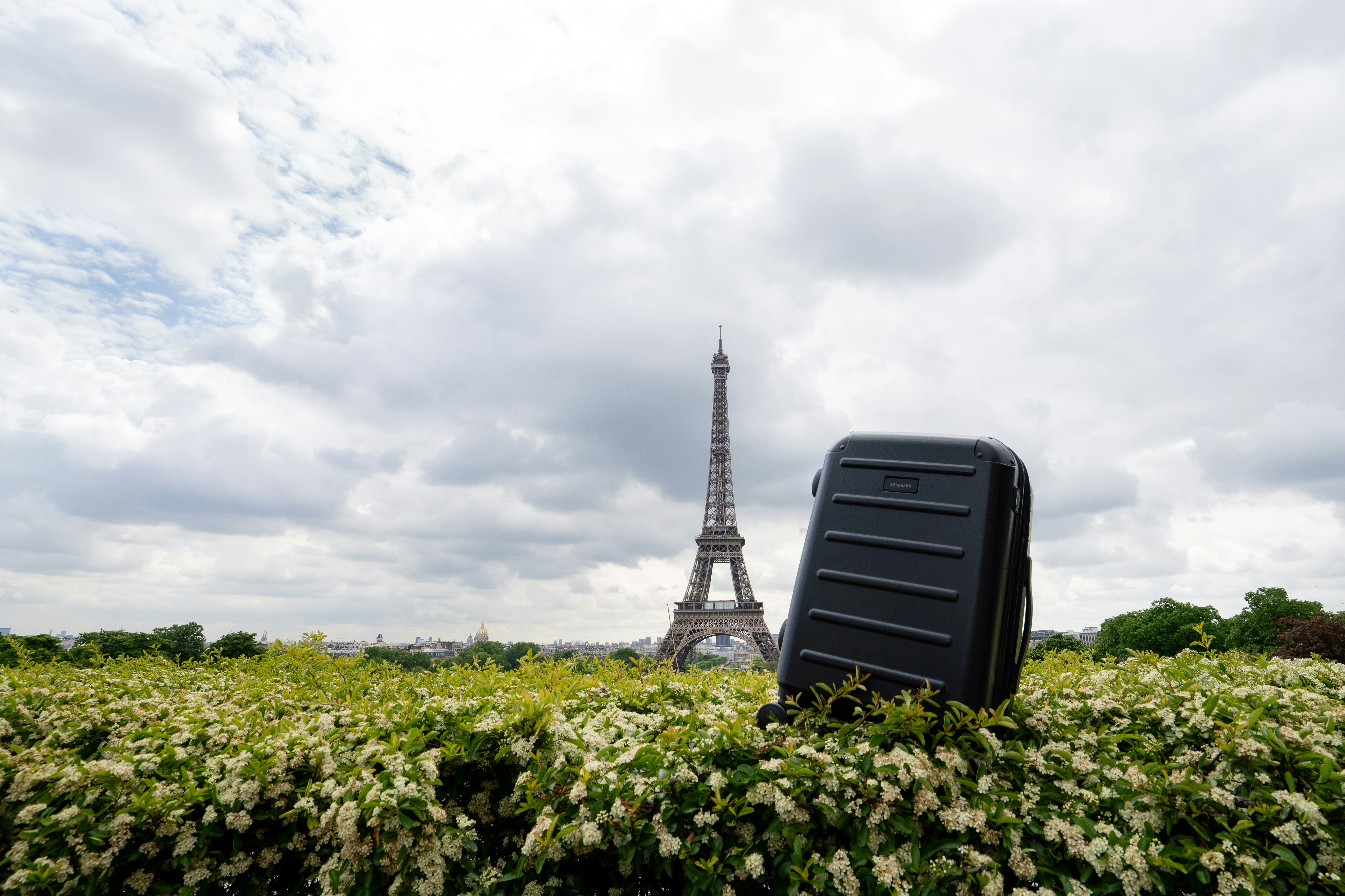 Equipaje en Flower Field