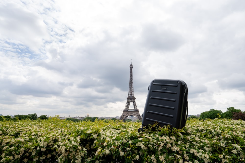 luggage in flower field