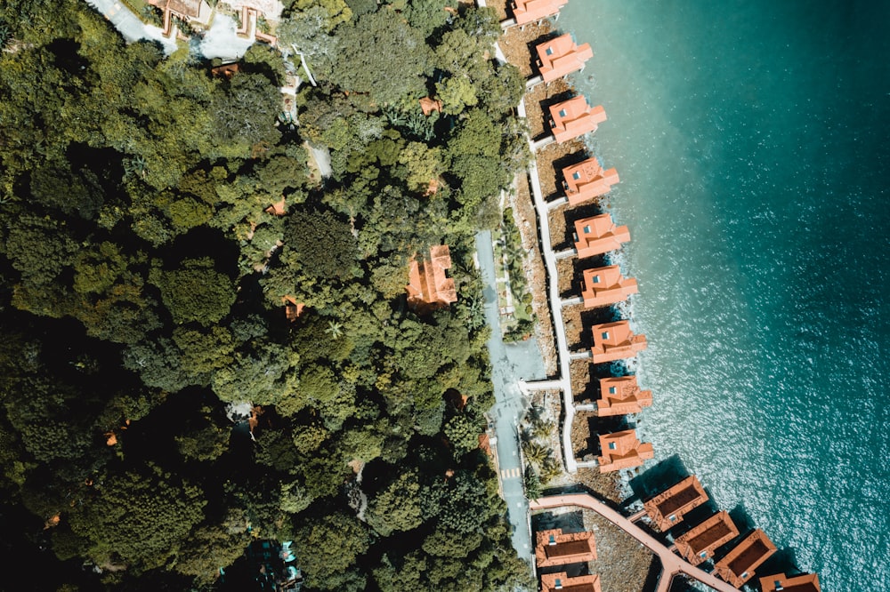 aerial photography of body of water near trees during daytime