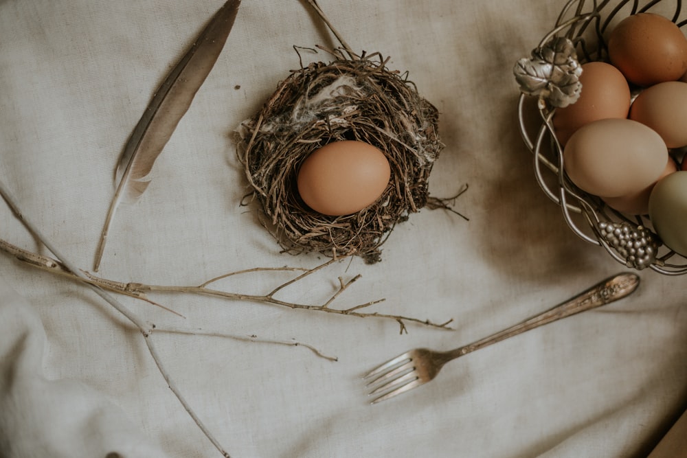 beige egg on brown nest