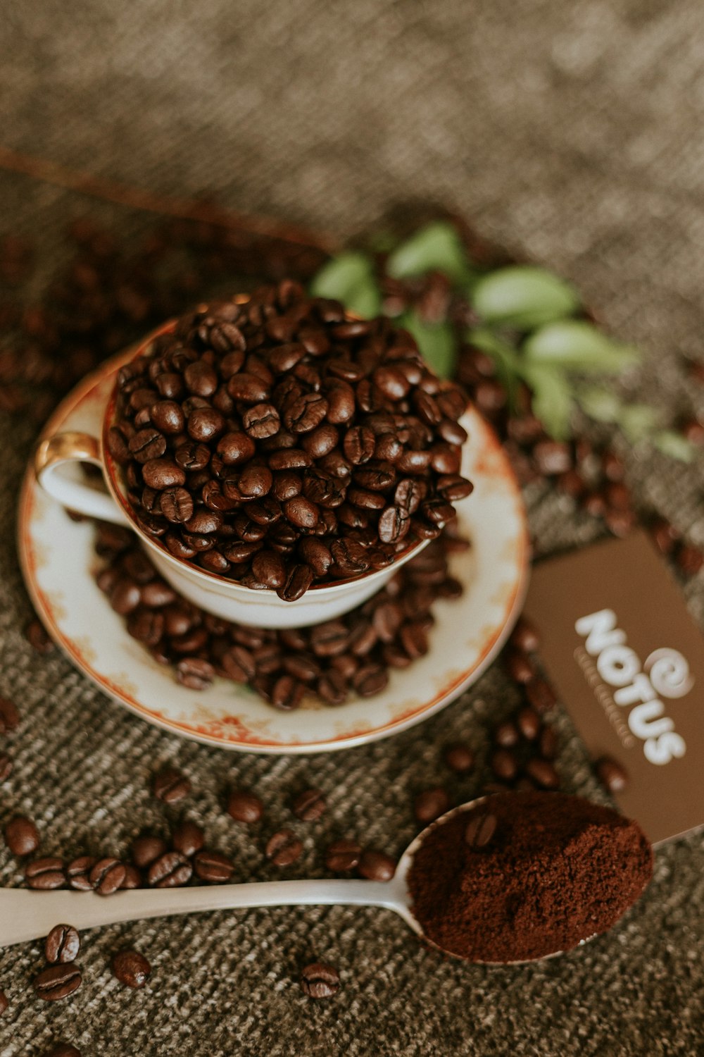 coffee beans in cup with saucer