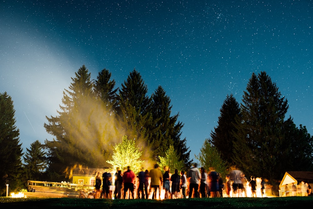 people standing near trees