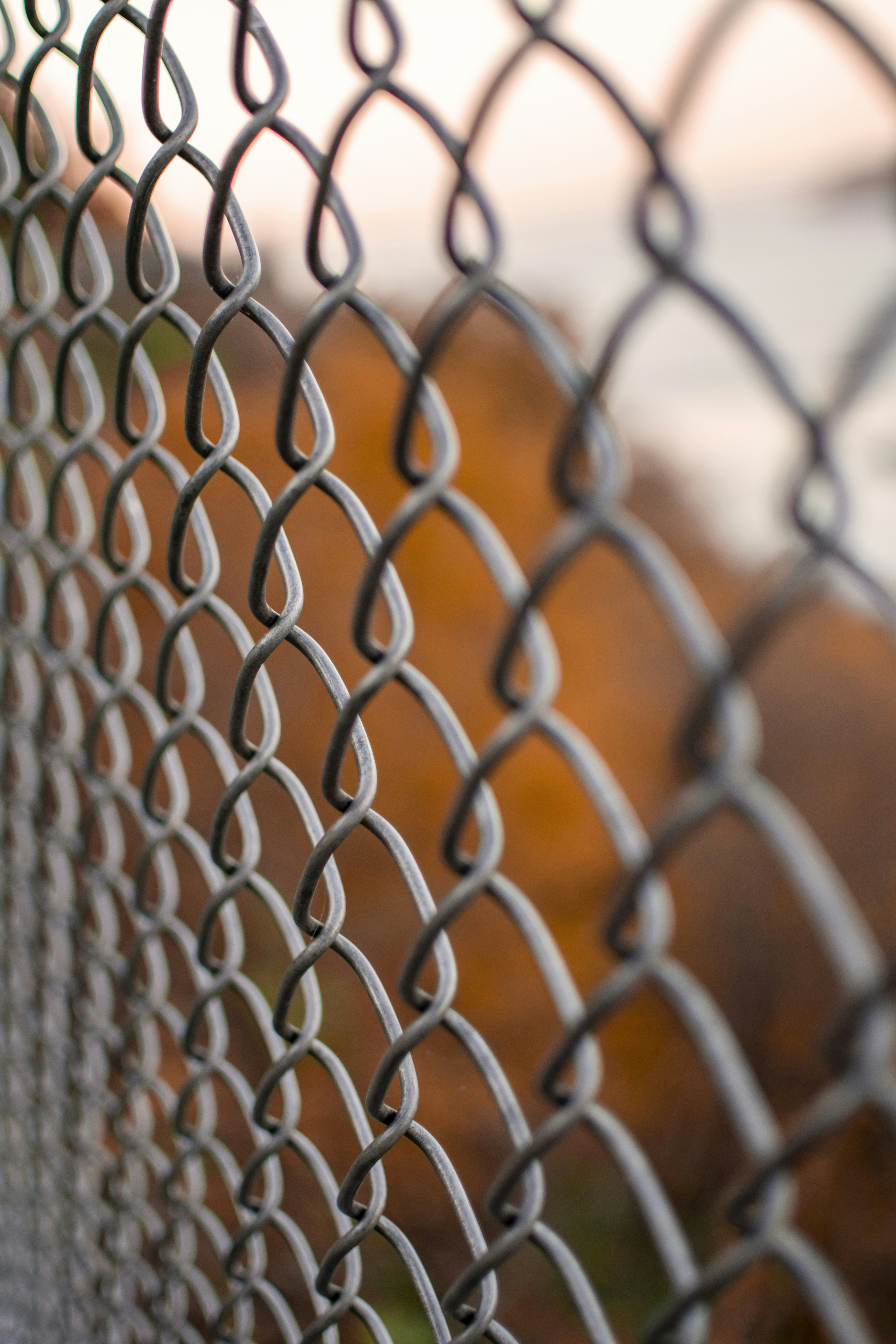 Photo by ninanaction