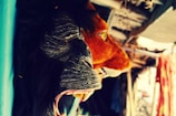 An array of animal masks, including a gorilla and a lion, hangs on display. The masks are made with vibrant and distinct textures, showcasing intricate details on their facial features. The surrounding area appears to be part of a market or shop setting.