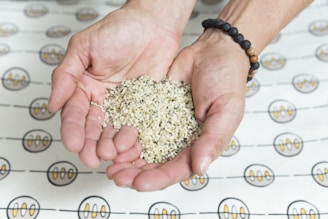 Hands gently cupping a pile of small, beige seeds. The background displays a patterned cloth with evenly spaced circular designs. One wrist is adorned with a bracelet made of dark and wooden beads.