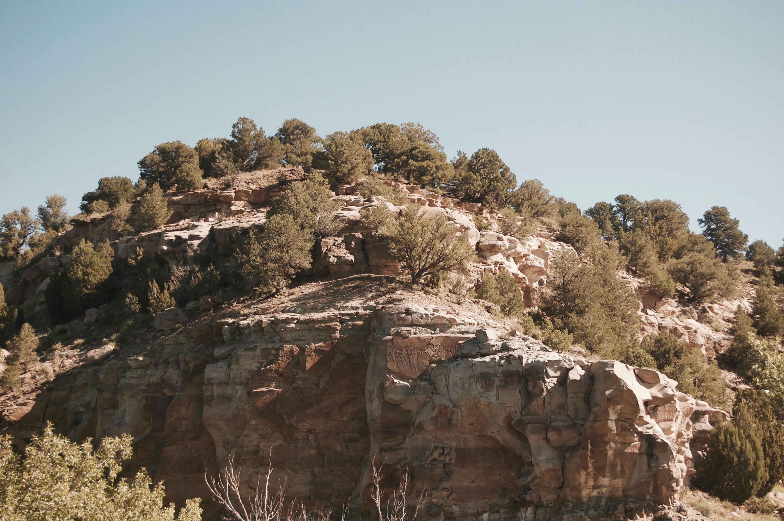 Photo by valerieblanchett