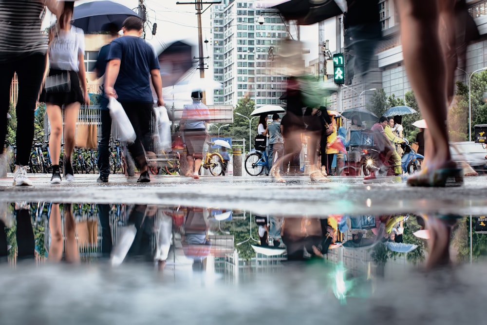 people with umbrella walking on roadway