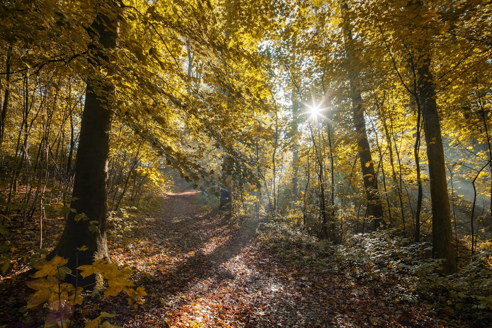 green trees