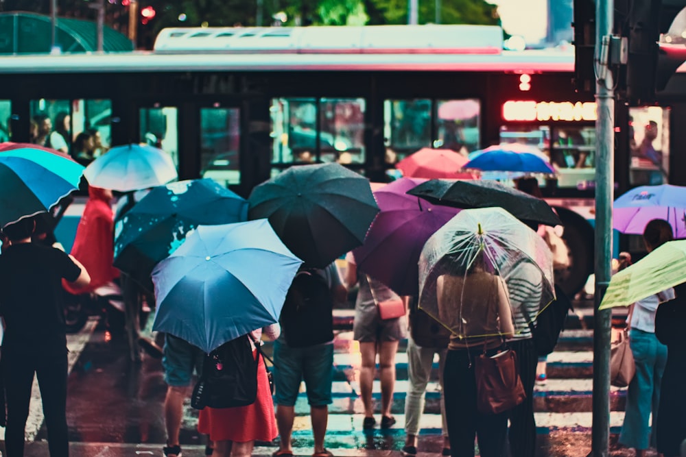 people standing near the bus using umbrella