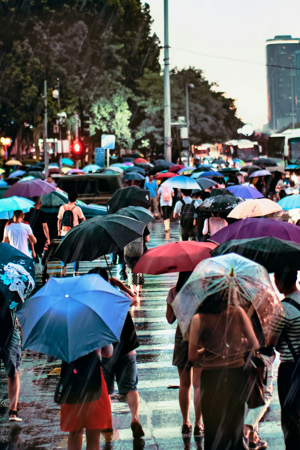 woman using umbrella