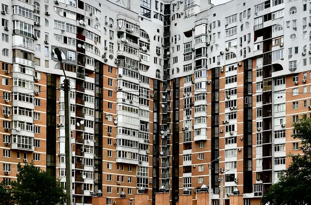 white and brown buildings