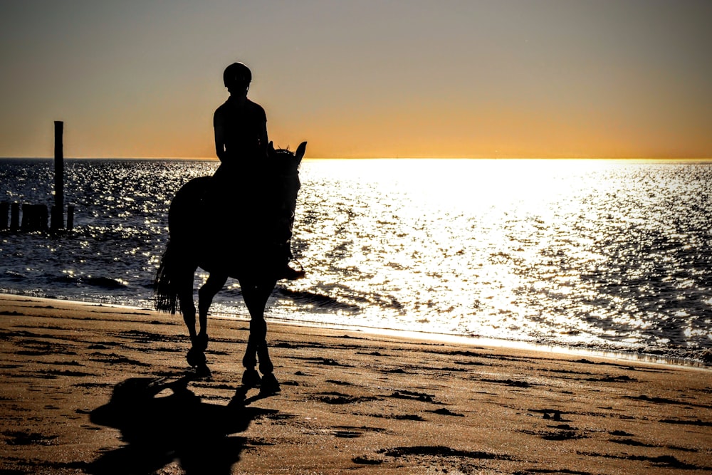 man riding horse on shore during golden hour
