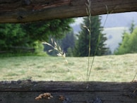 A panoramic view of a commercial property bordered by a durable wood fence blending with the natural landscape.