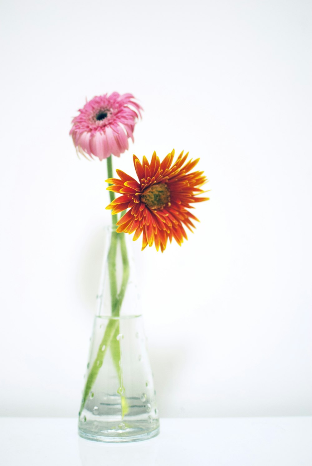 orange and pink flowers in clear glass vase