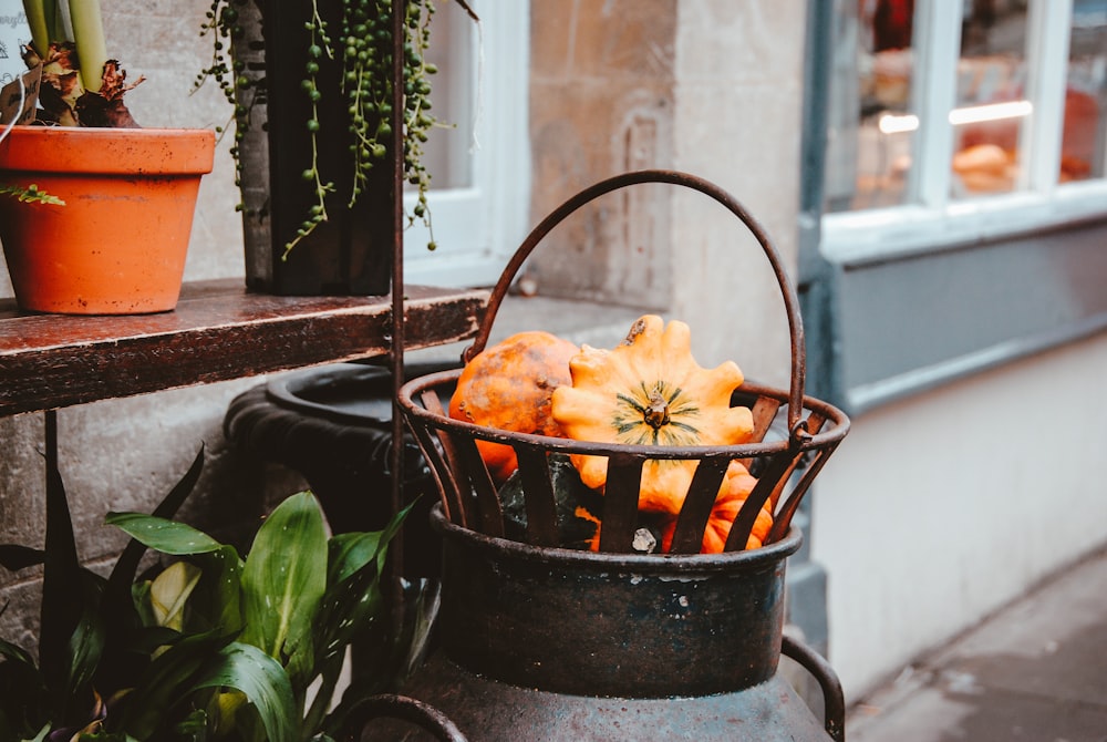 orange pumpkins and red basket