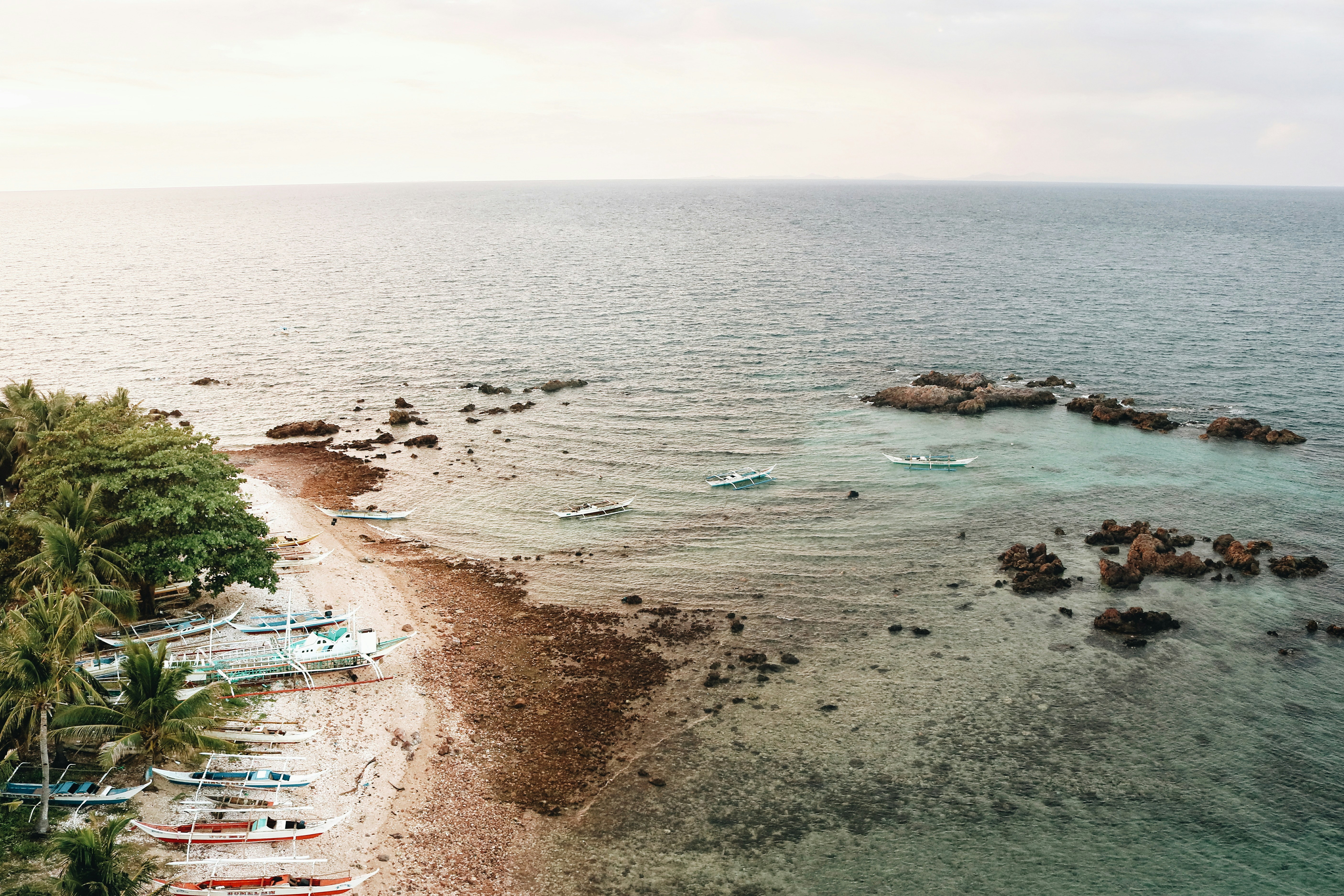 seashore and body of water