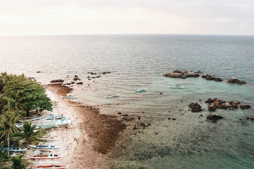 seashore and body of water