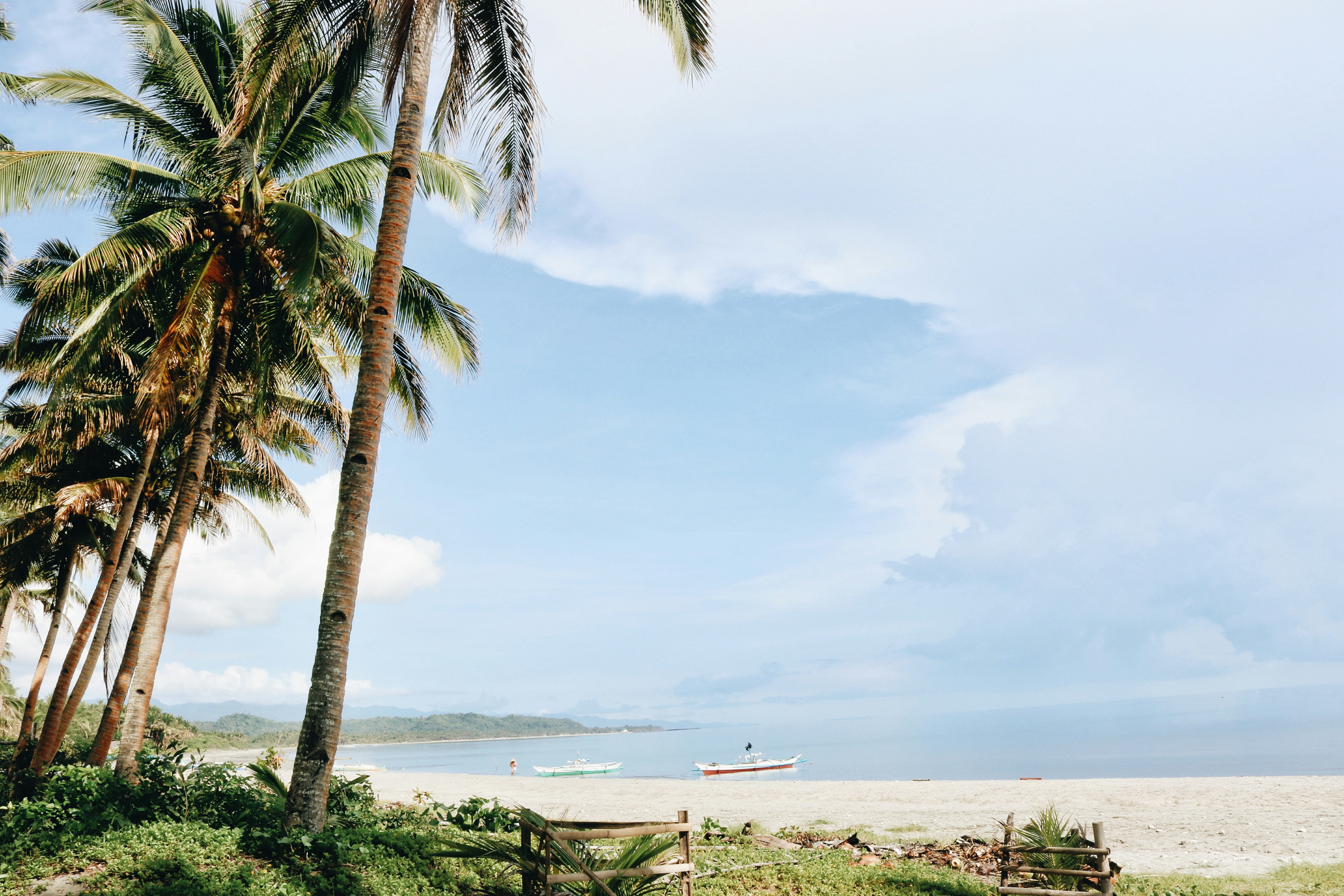 Photo by zeshalynkristine