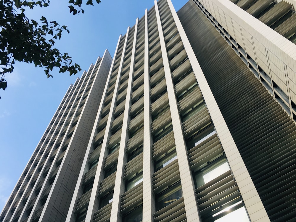 architectural photography of white building