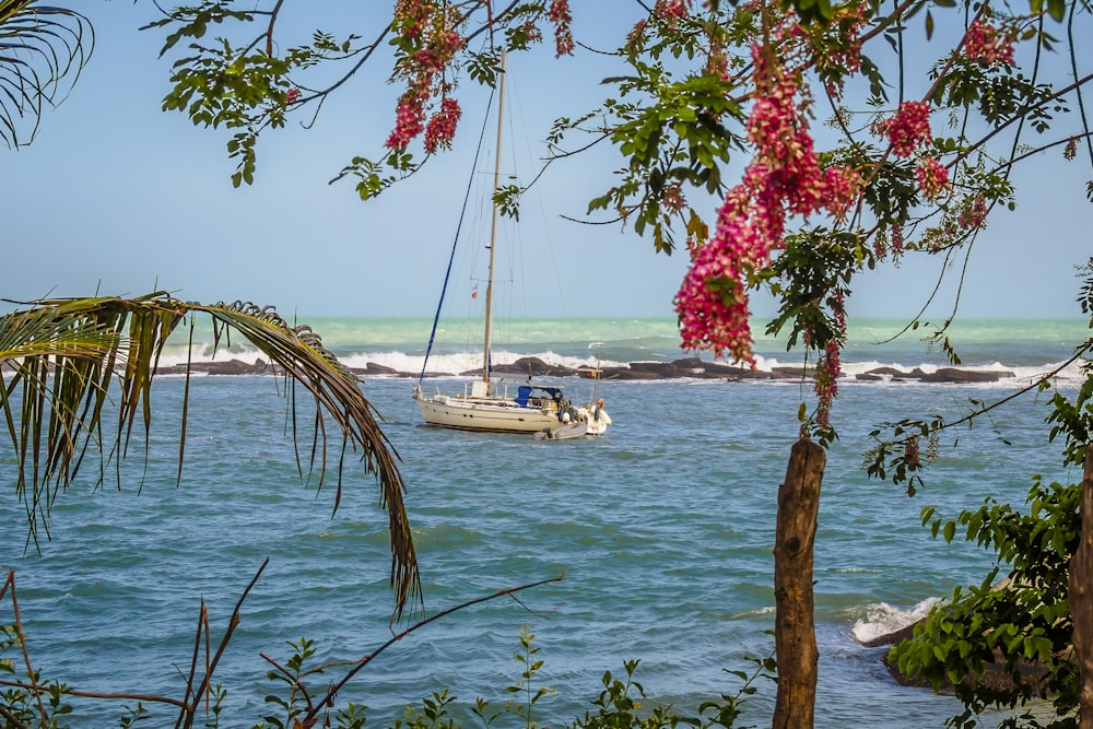 weißes Segelboot auf Gewässer