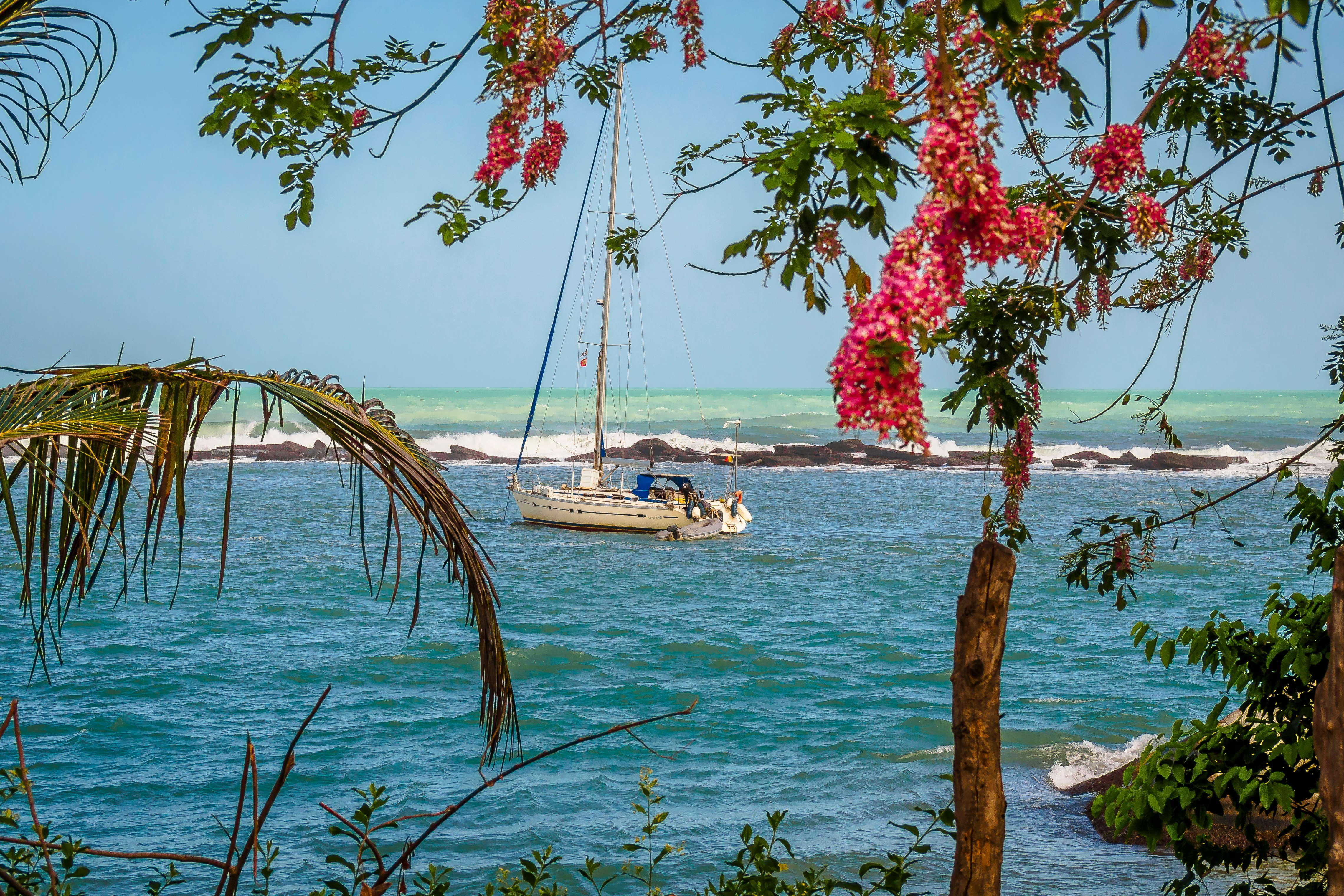 white sailboat on body of water