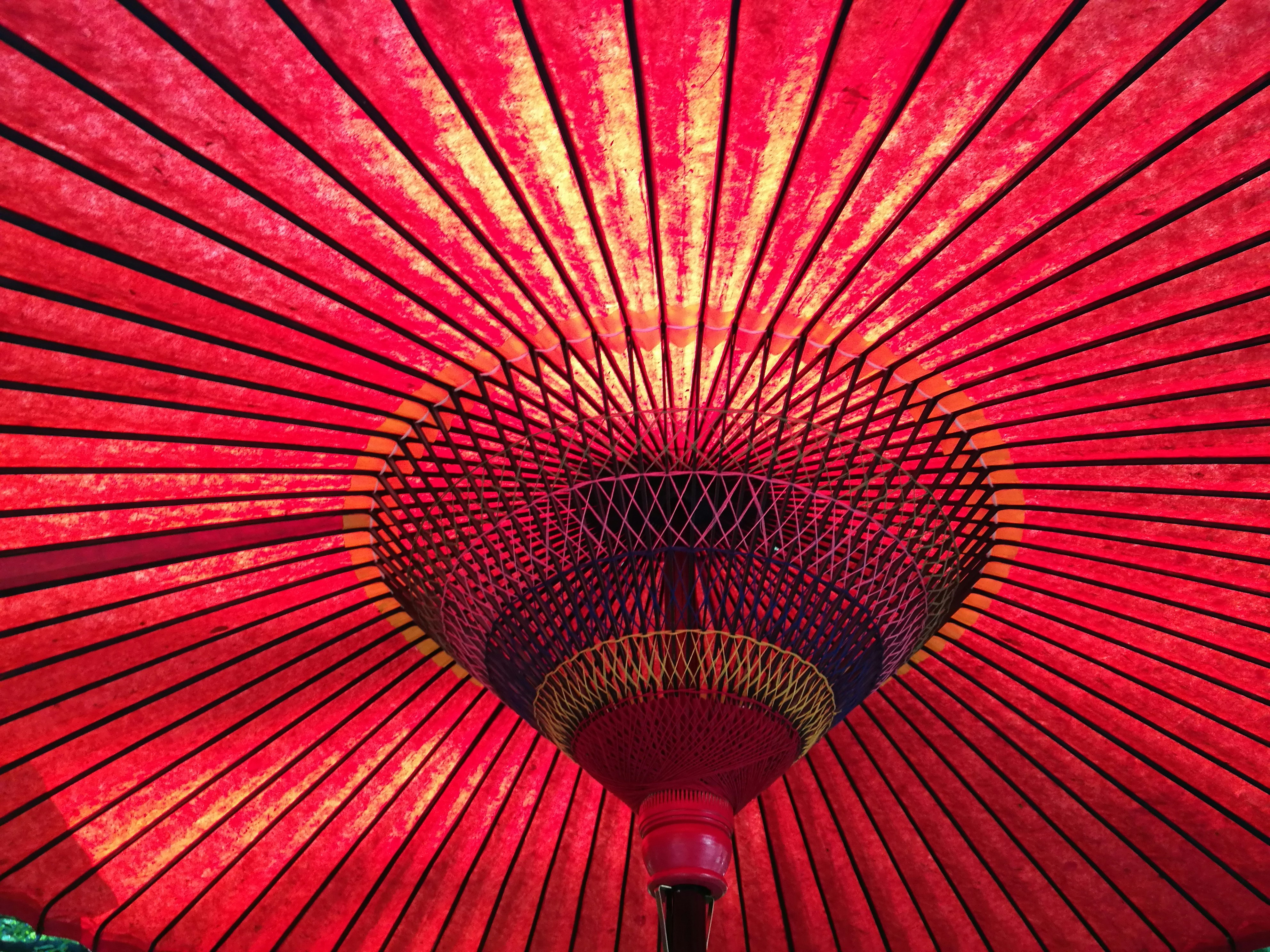 Photo by bennybishop