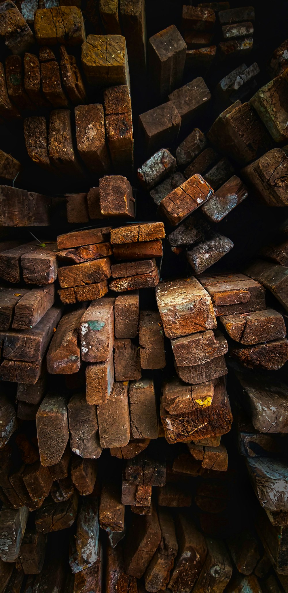 brown wood plank lot