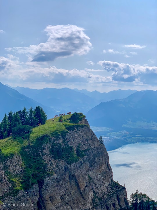 green covered mountain in Beatenberg Switzerland