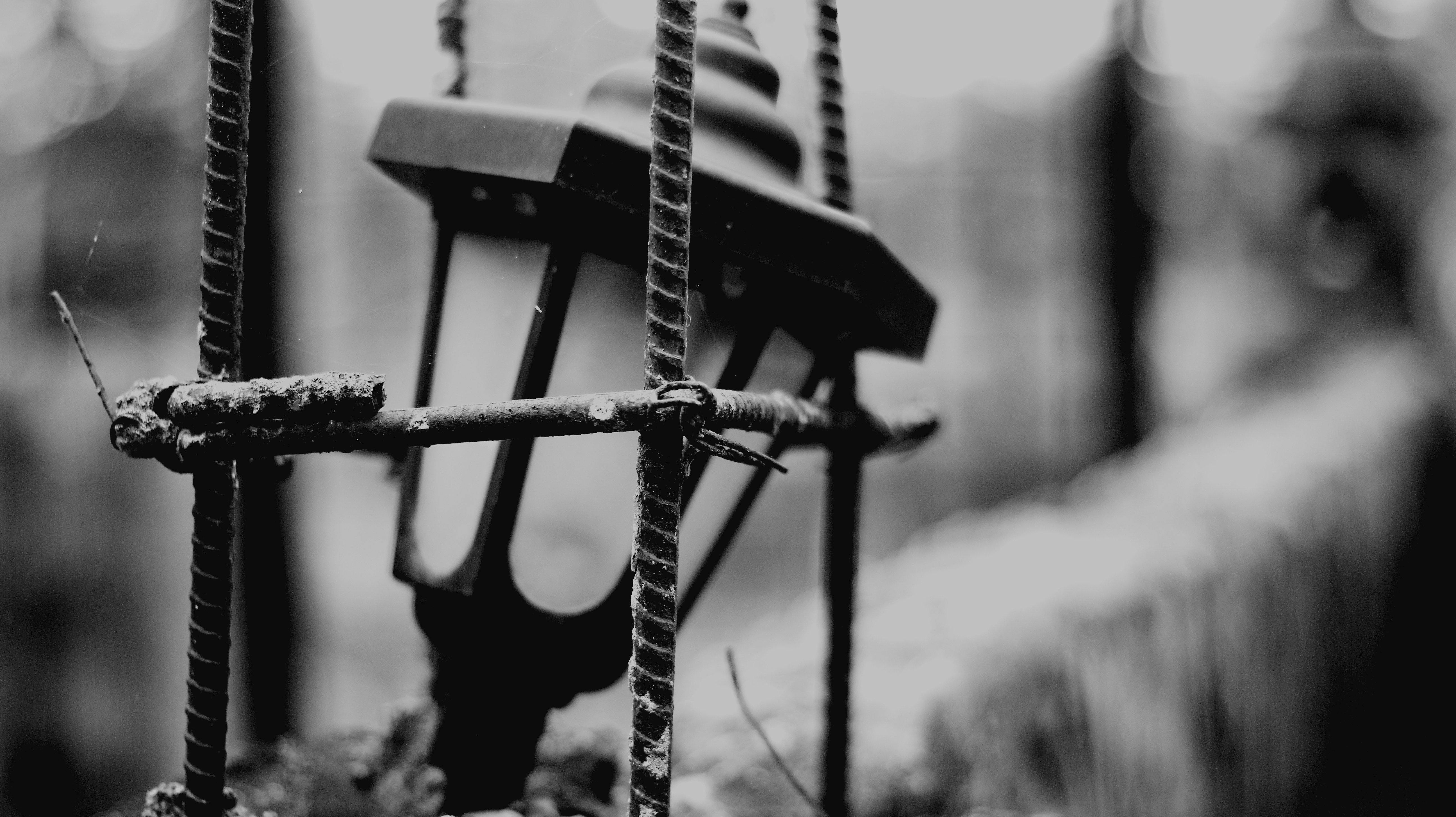 Photo by ktphotographyx