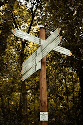 white and brown wooden road sign during daytime