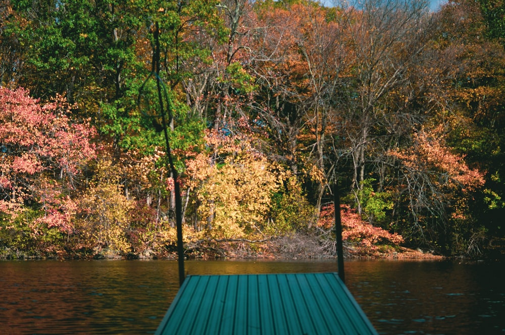 forest tree and lake scenery