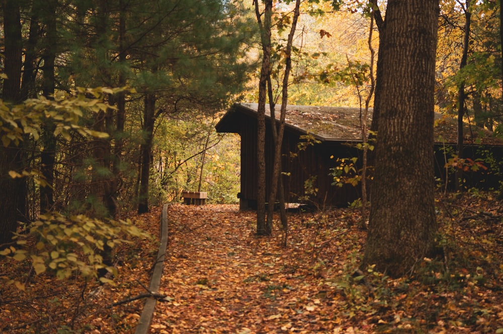 green leafed trees and brown wooden house