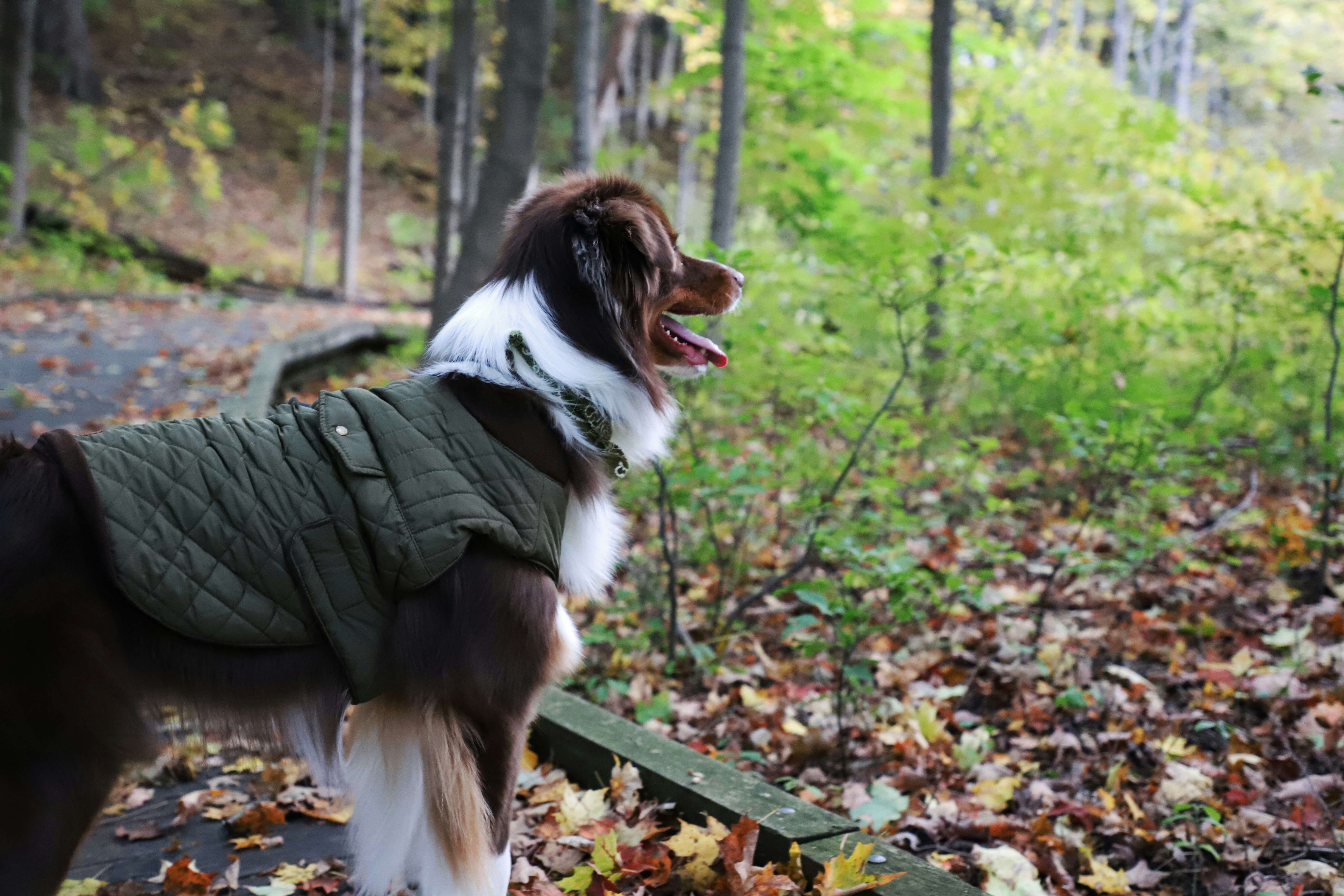 photo 1572523134433 a93998d05f61?ixlib=rb 4.0