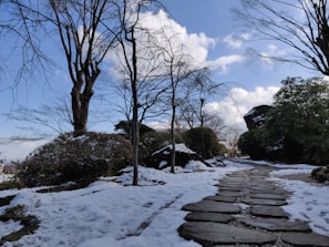 A peaceful snow-covered garden path lined with bare trees under a pale winter sky.