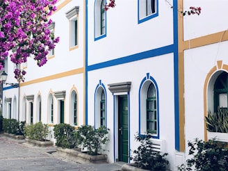 Colorful house with white walls and blue and yellow accents. The facade features arched windows and doors, surrounded by potted greenery. Vibrant purple flowers hang above, adding a lively touch.