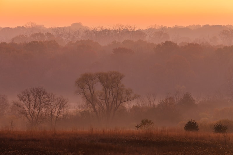 Baraboo