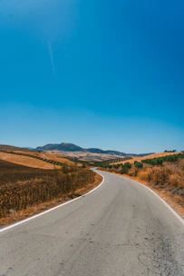 A sunlit Tuscan countryside road winding past vineyards and olive groves under a clear blue sky