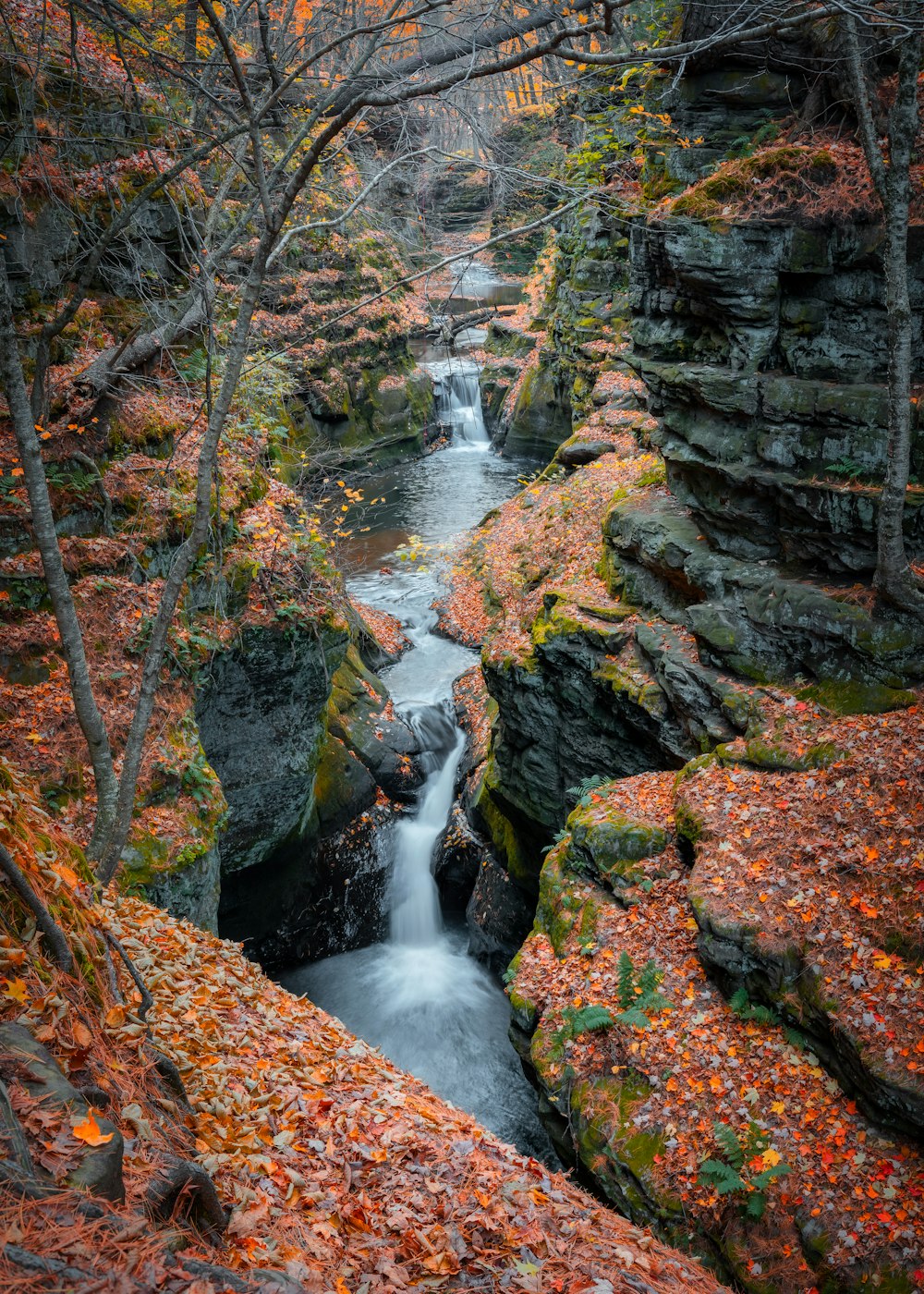 Paysage de cascades