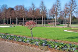 A residential backyard after seasonal cleanup, free of leaves and debris, with tidy flower beds