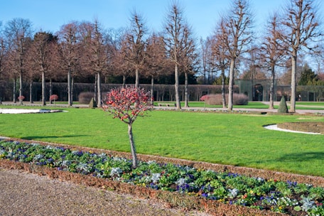 A well-manicured garden with green lawns, bordered flower beds, and neatly arranged trees. The trees are leafless, indicating a winter season, with a blue sky overhead. The central focus is a small decorative tree with red branches surrounded by colorful flowers.