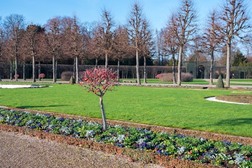 A well-manicured garden with green lawns, bordered flower beds, and neatly arranged trees. The trees are leafless, indicating a winter season, with a blue sky overhead. The central focus is a small decorative tree with red branches surrounded by colorful flowers.