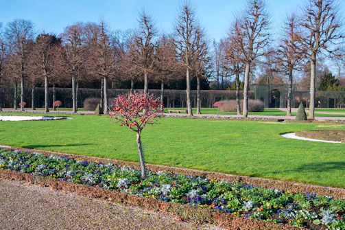 A yard with seasonal cleanup completed, leaves cleared and flower beds tidy.