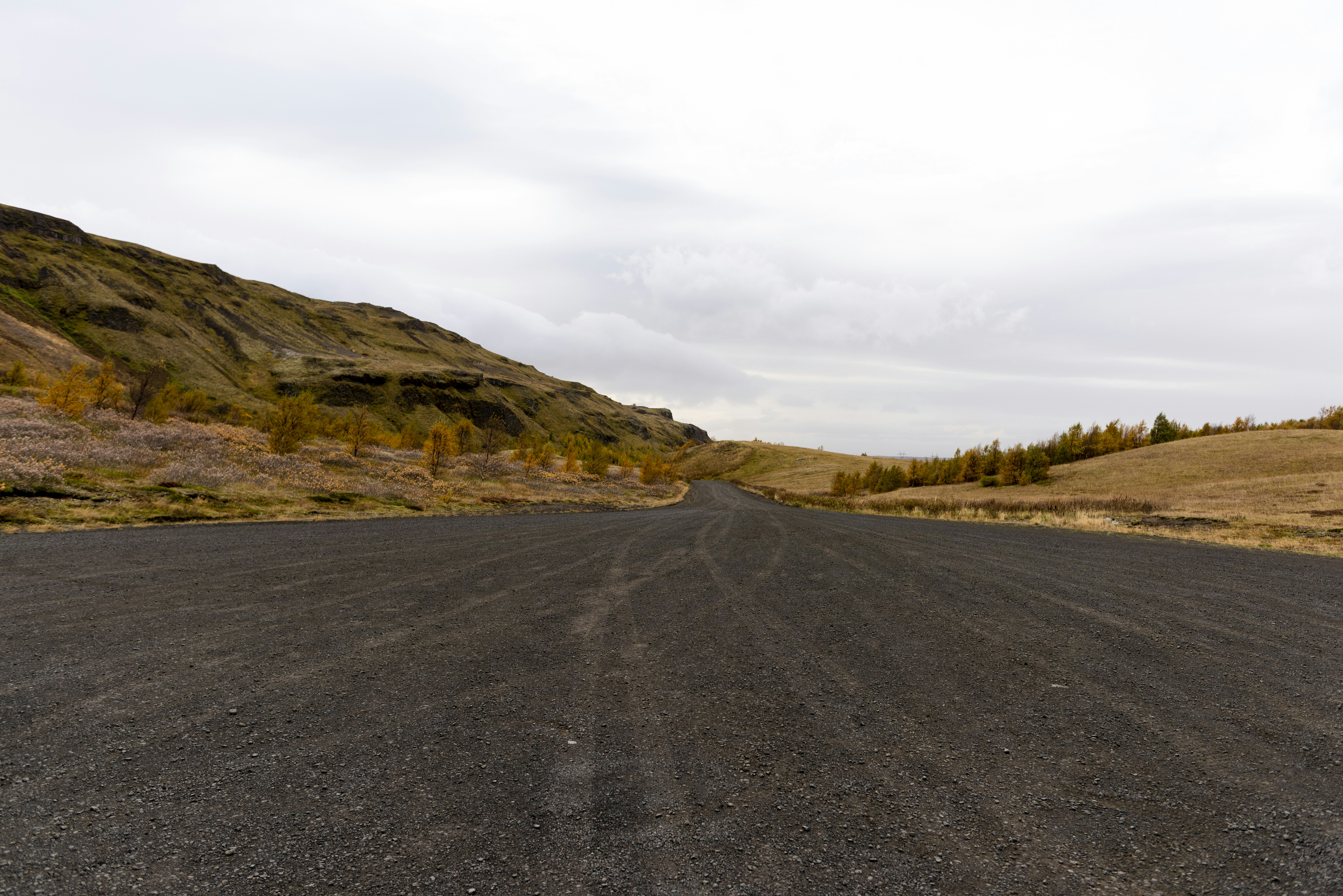 Photo by michel_catalisano