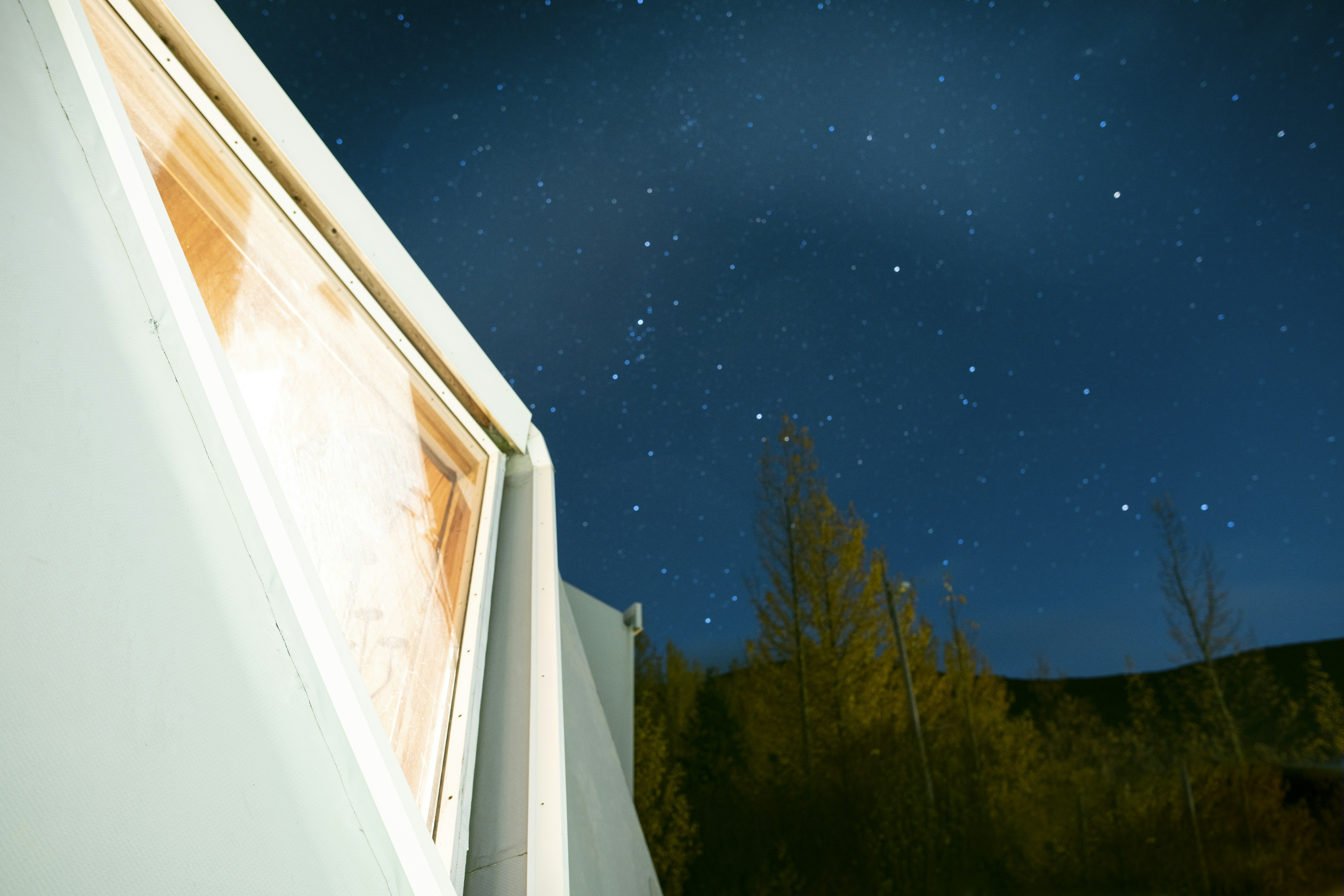 geren trees and blue sky