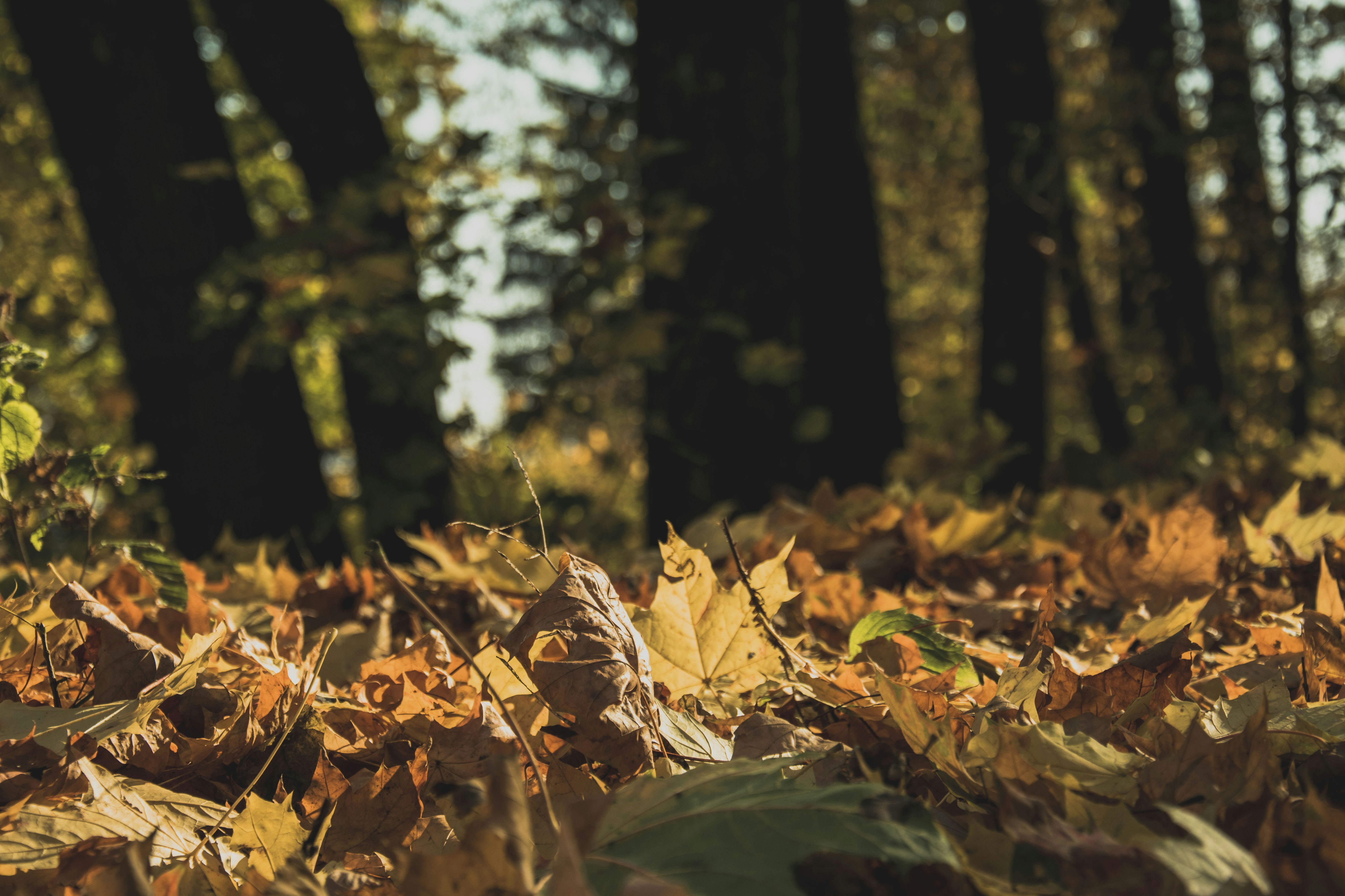 Photo by tetiana_martynenko