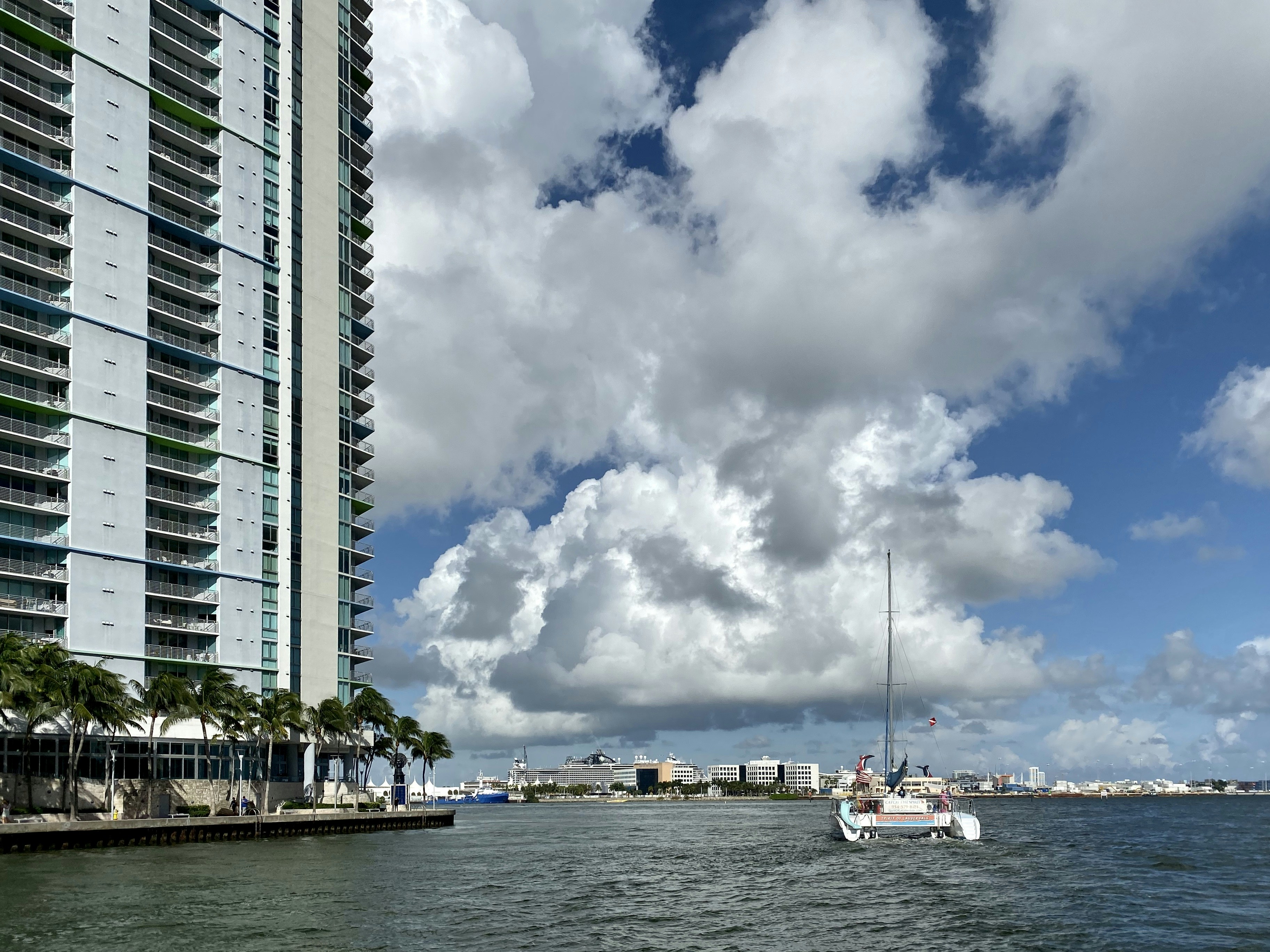 Photo by tobylitao2019