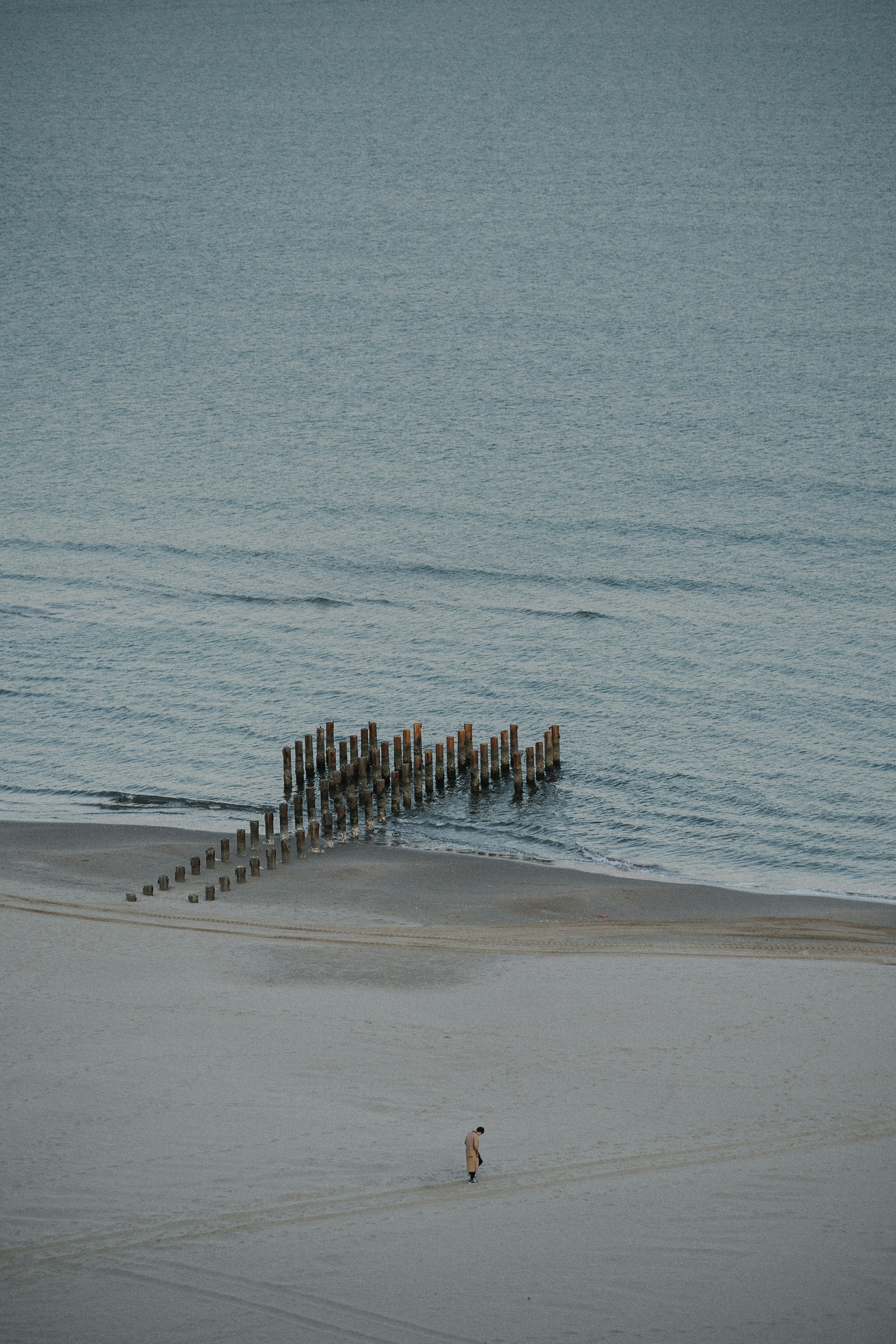 wooden posts in the seashore during daytime