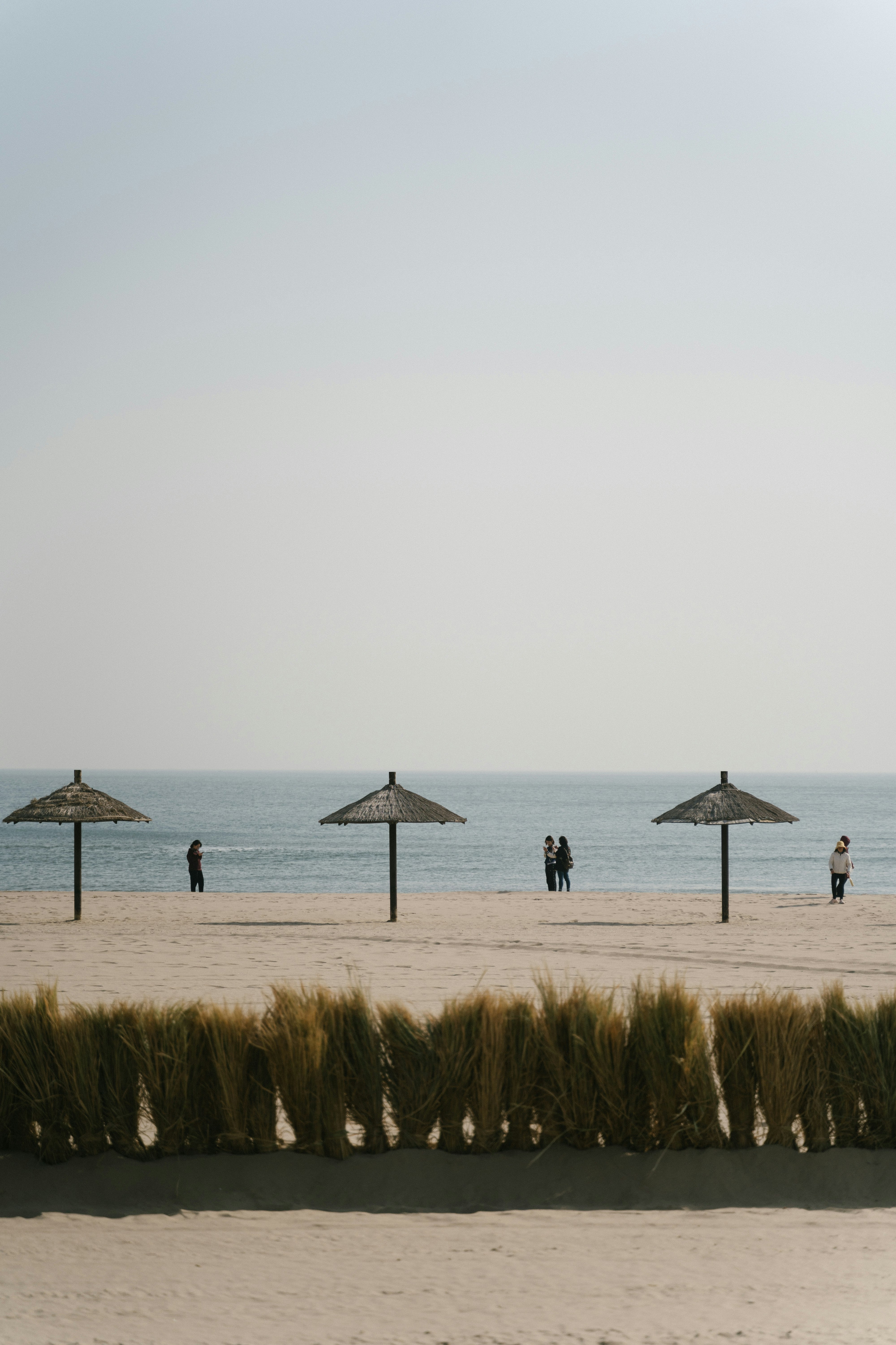 three brown patio umbrellas near beach lien